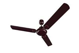 Fan Regal Gold NXG 1200 mm Matte Wine Red CF