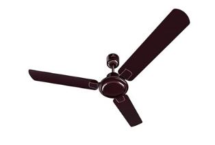 Fan Regal Gold NXG  Wine Red 1400 mm CF