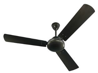 Fan Speedster X BBD 600 MM Sizzling Brown CF