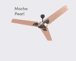 Fan Kytoon 1200 mm Mocha Pearl CF