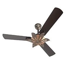 Fan Floweret AVAB 1200mm Chocolate Brown CF