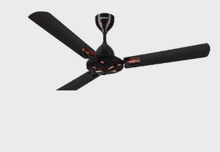 Fan Novella 1200mm Elegant Brown CF