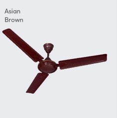 Fan Bajaj Turbo 1200mm Asian Brown CF