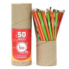 50 Seed Pencils BG45