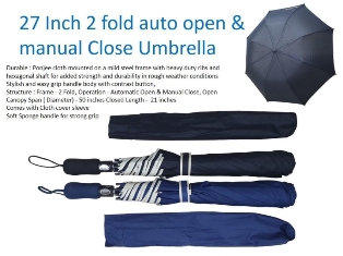 Auto Open 2 fold Umbrella