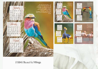 Four Sheeter Wall Calendar : Beautifu; Wings