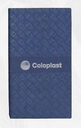 A-6 Notebook Goloplast