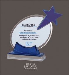 IDF-2158 SAP Award (Glass Trophy)