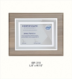 IDF-310 Intel