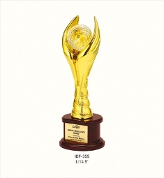 IDF-355 Cargill Award