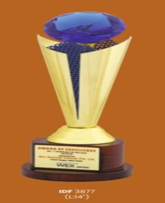 Trophies&Awards -WEX