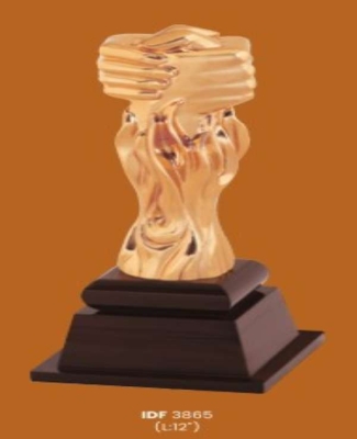 Trophies&Awards -Velcro