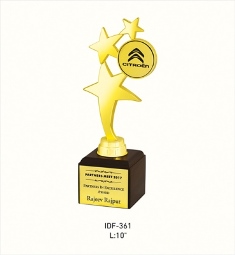 IDF-361 Citeron Star Award