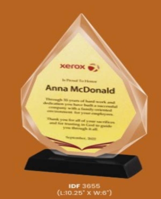 GlassTrophies -Xerox