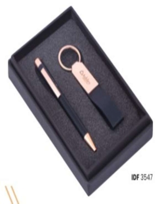 ExlcusiveGiftSet -Ashley HomeStore  (Pen & KeyChain)