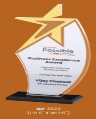 AcrylicAwards -Tera Data Possible