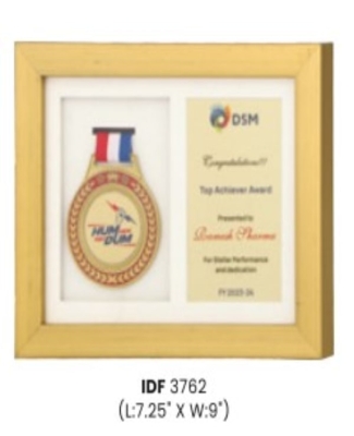 Mementos&Plaques -DSM Medal