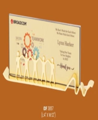 Trophies&Awards -Broadcom Team Work Awards