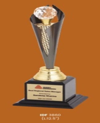 Trophies&Awards -Avery Dennison