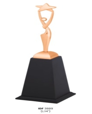 Trophies&Awards -Nikon