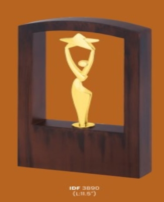 Trophies&Awards -Hunter Douglas