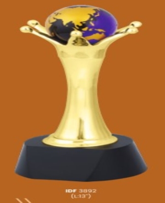 Trophies&Awards -Remax Realty