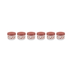 KITCHEN CONTAINER STOREX BLOOM 175ML 6PCS SET