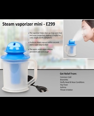 Steam vaporizer mini