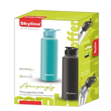 Stainless Steel Bottles 2 Pcs. 1 Ltr. each