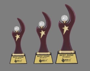 PREMIUM WOOD & METAL TROPHIES 4035 (C)