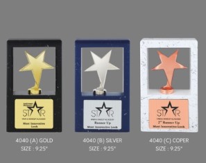 PREMIUM WOOD & METAL TROPHIES 4040 (B) Silver