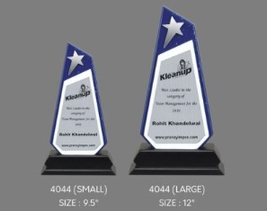 PREMIUM WOOD & METAL TROPHIES 4044 (L)