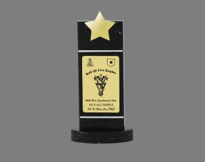 PREMIUM WOOD & METAL TROPHIES 4048