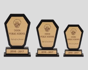 WOODEN TROPHIES 2117 (Medium)