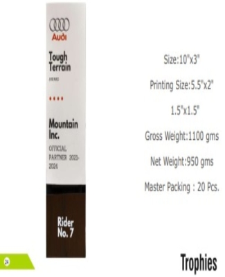 AUDI TROPHIES