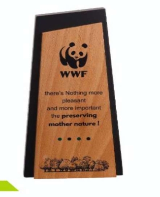 WWF TROPHIES