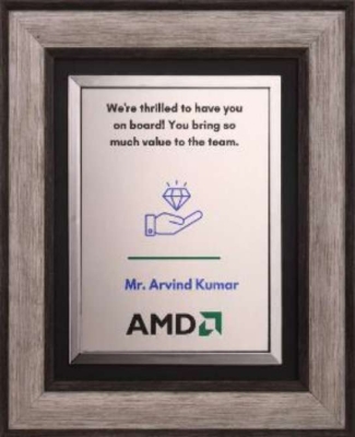 AMD TROPHIES