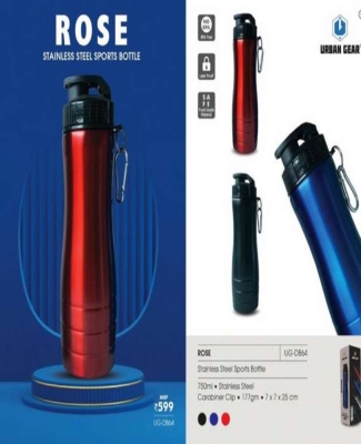 Stainless Steel Sports Bottle - 750ml Rose