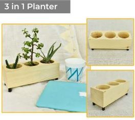 3 In 1 Planter USPL001