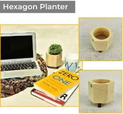 Hexagon Planter USPL004