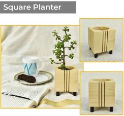 Square Planter USPL006