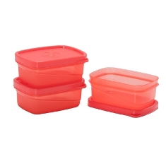 Tiny Container Set of 3 DSTG0408