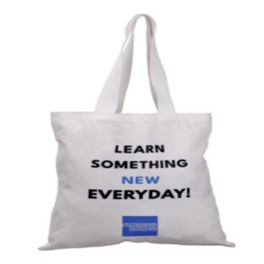 BAGS AMERICAN EXPRESS