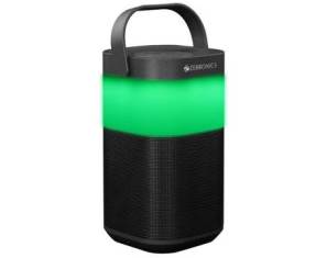 SPK-ZEBRONICS PORTABLE BLUETOOTH SPEAKER (PRISM)