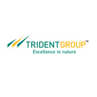 Trident Group